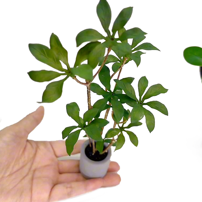 Bonsai Garden Pot - Plantes miniatures en pot pour bonsaï,