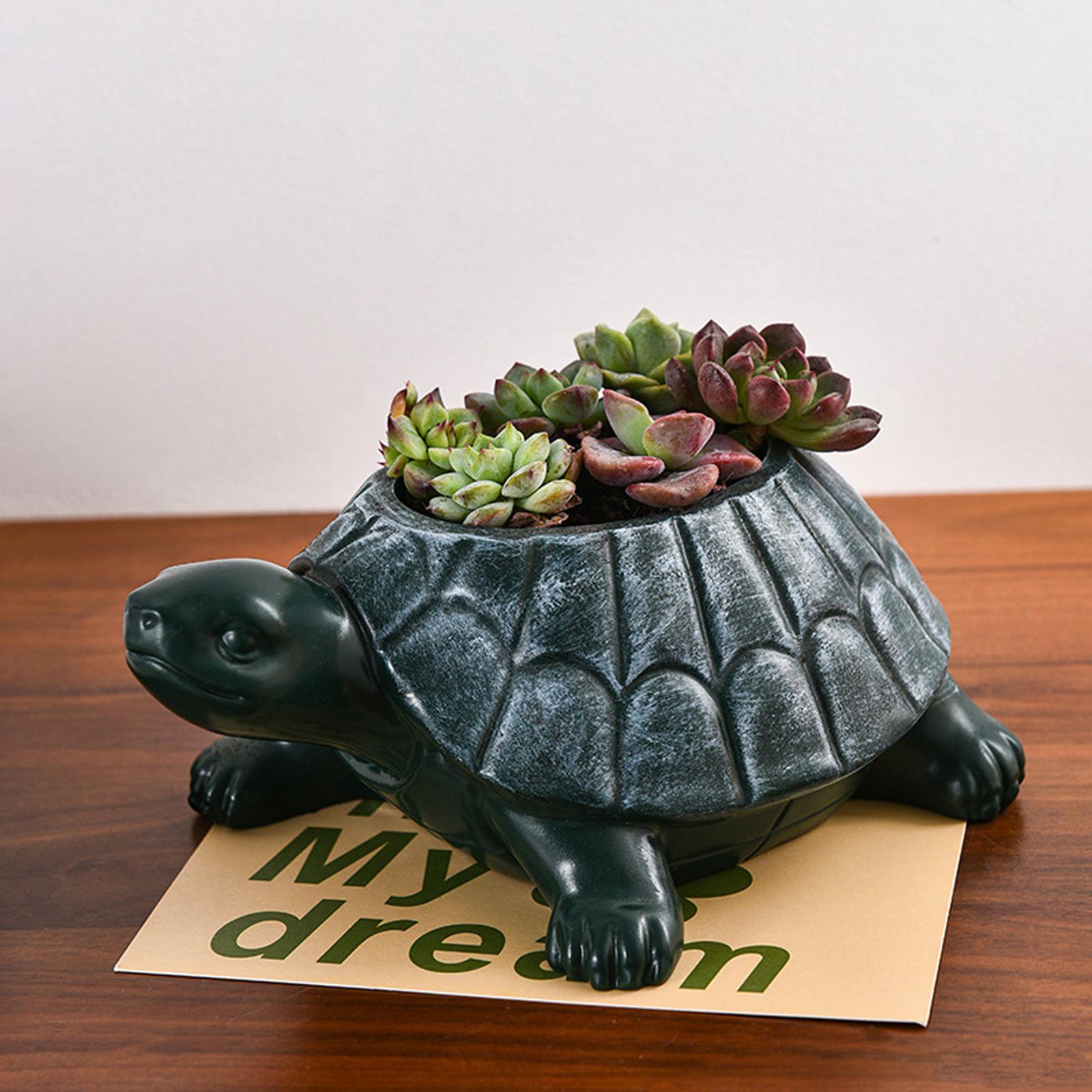 Bonsai Garden And Cafe - Pot de fleurs tortue, ornement décoratif