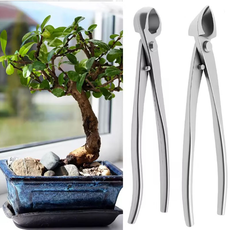 Concave Branch Cutter - Kit d'outils pour bonsaï en acier