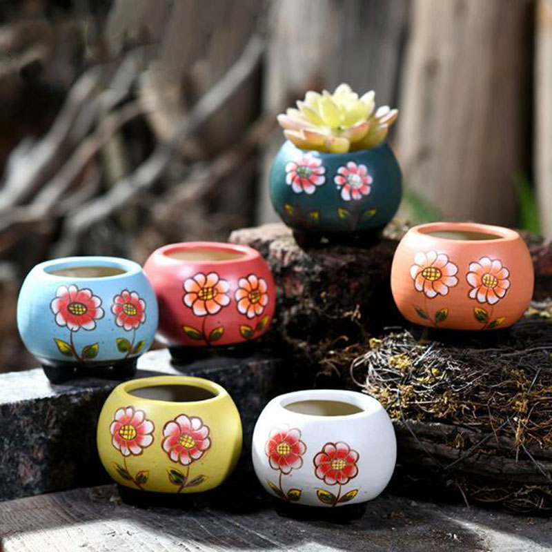 Bonsai Garden Europe - Pot de plantes succulentes peintes à
