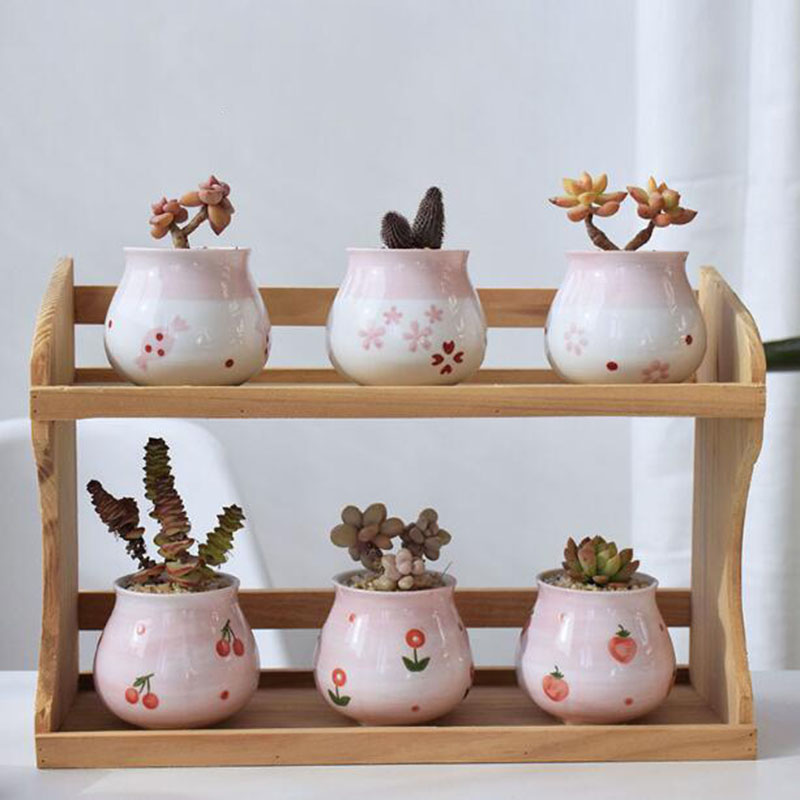 Bonsai Garden Europe - Pot de plantes charnues en forme