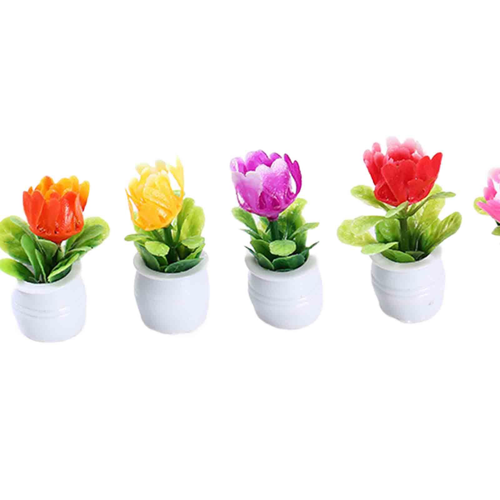 Bonsai Garden Europe - Pot de fleurs miniature pour maison