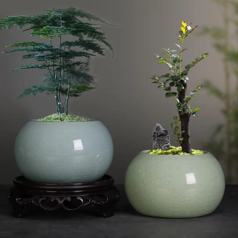 Bonsai Garden Europe - Pot de fleurs en céramique style