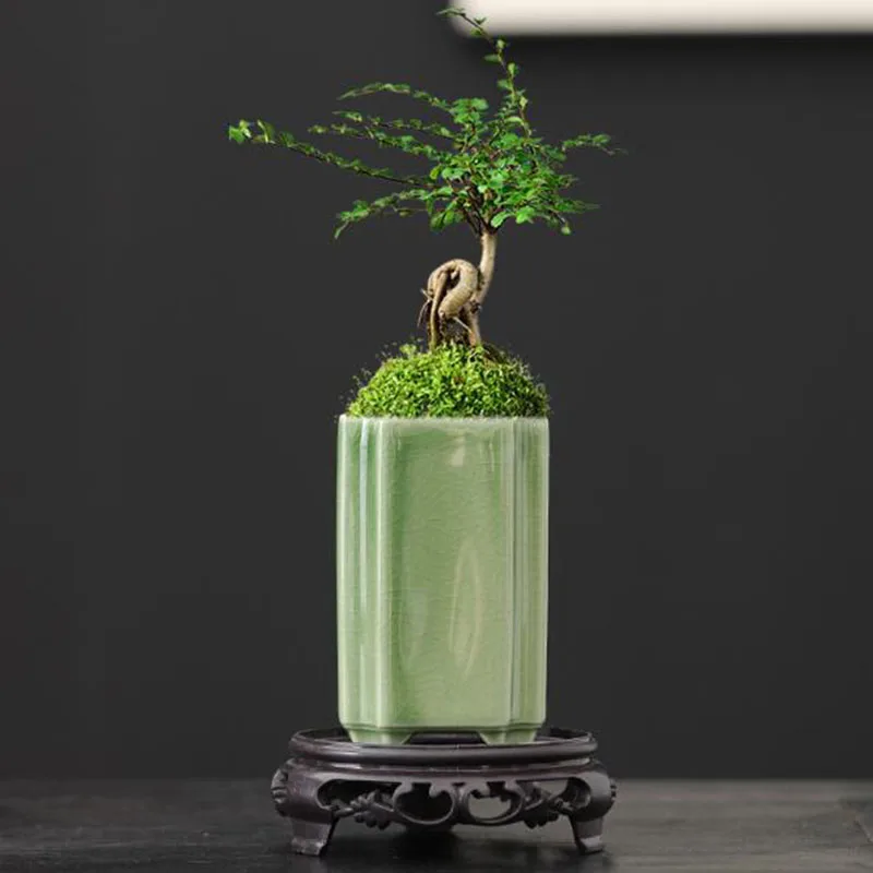 Bonsai Garden Europe - Pot à fleurs en céramique carré,