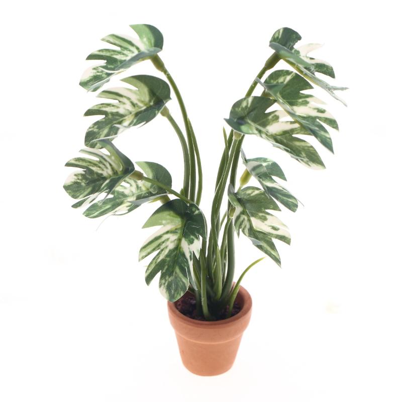 Bonsai Garden Pot - Nouveau. 1 pièce. Plante verte Monstera