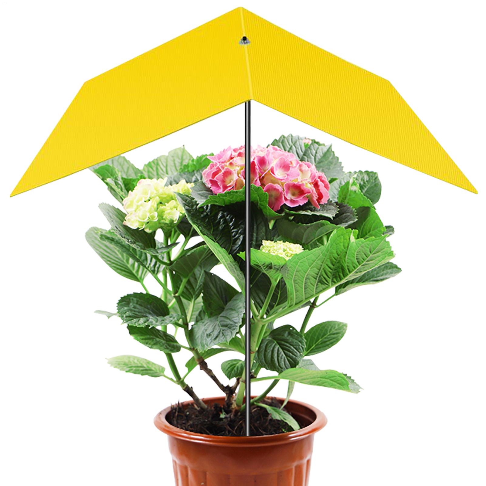 Bonsai Garden Backyard - Parasols pour plantes d'extérieur, résistants aux