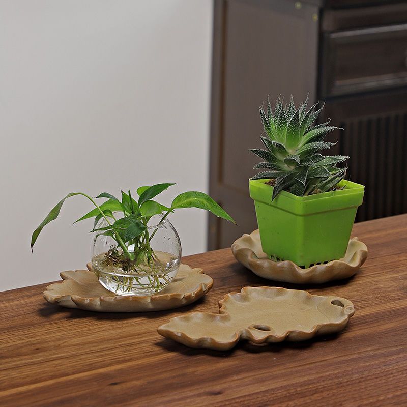 Plante hydroponique en bois br - Drip Tray Saucer avis et prix