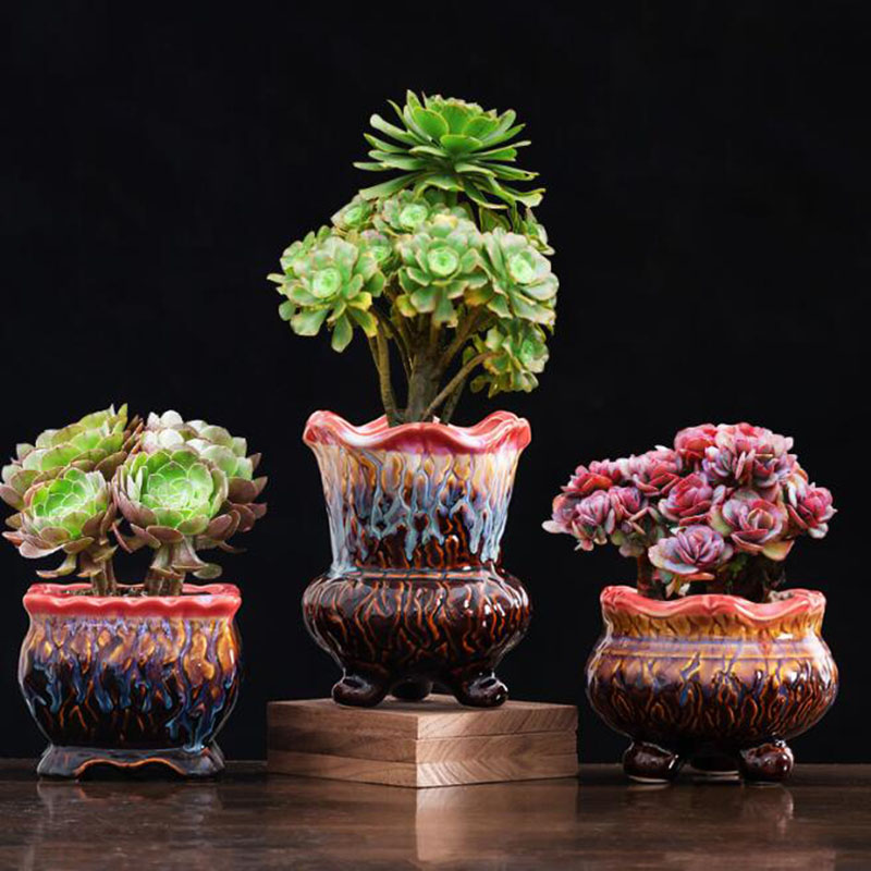 Pot de Fleurs Glacé Créatif po - Bonsai Tree Zen Garden avis et prix