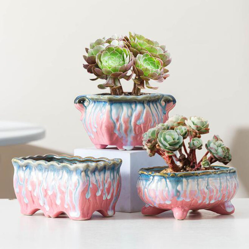 Pot de Fleurs Glacé Créatif po - Bonsai Tree Zen Garden avis et prix