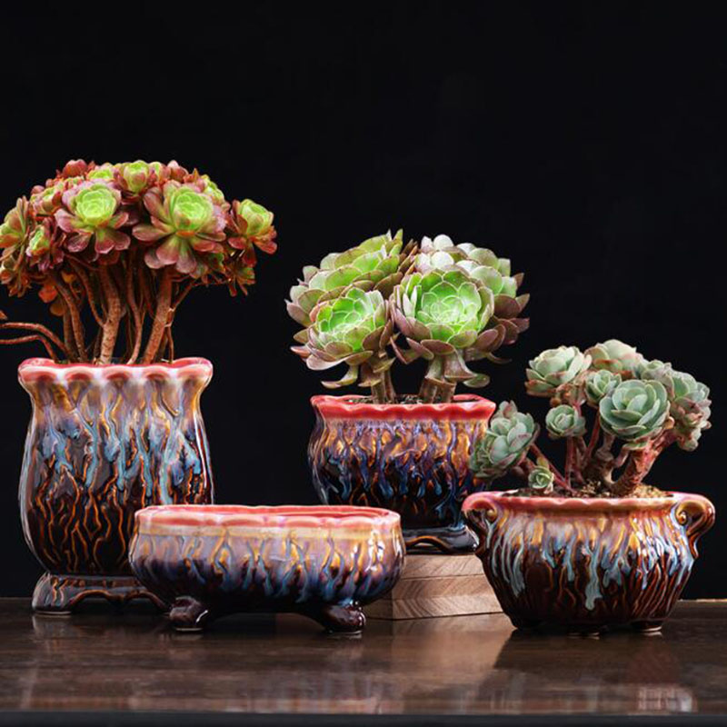Pot de Fleurs Glacé Créatif po - Bonsai Tree Zen Garden avis et prix