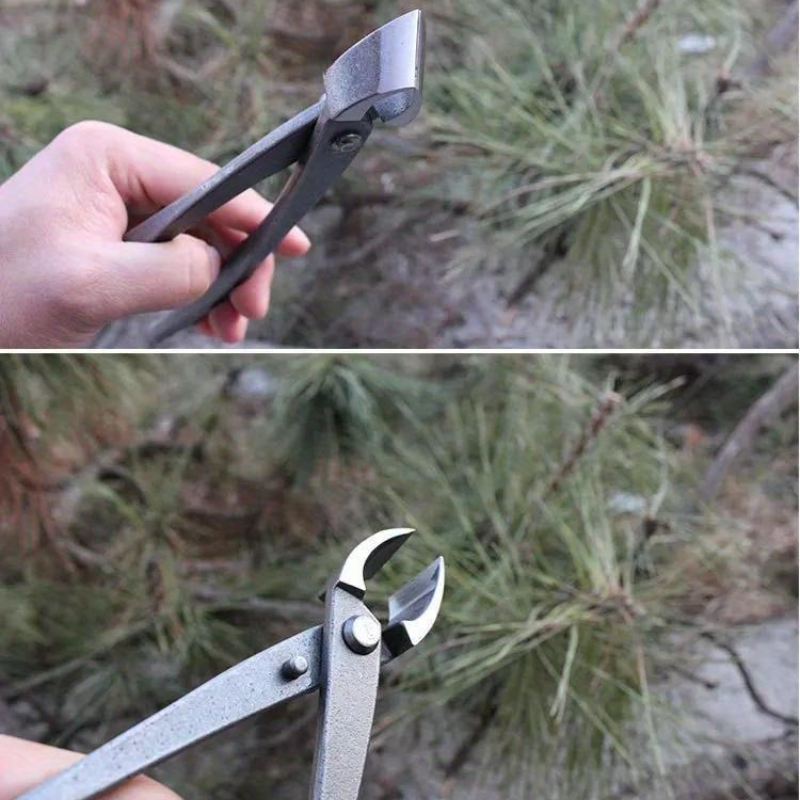 Coupe-bouton pour bonsaï, coup - Concave Branch Cutter avis et prix