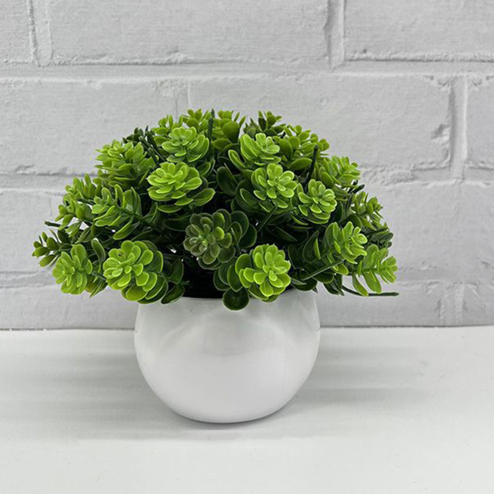 Bonsaï artificiel réaliste en  - Bonsai Garden And Cafe avis et prix