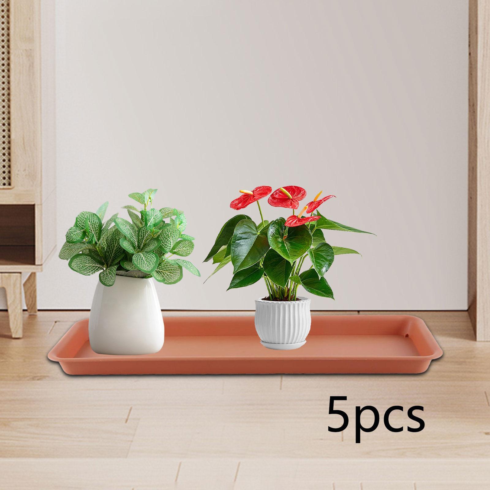 Pot de fleurs haut pour terras - Drip Tray Saucer avis et prix