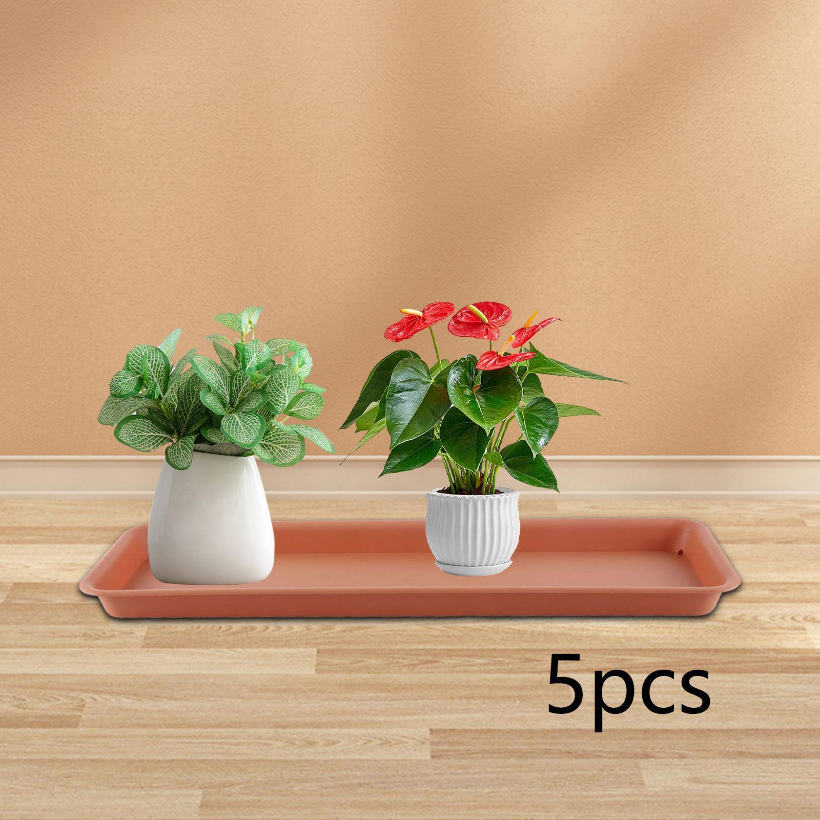 Pot de fleurs haut pour terras - Drip Tray Saucer avis et prix