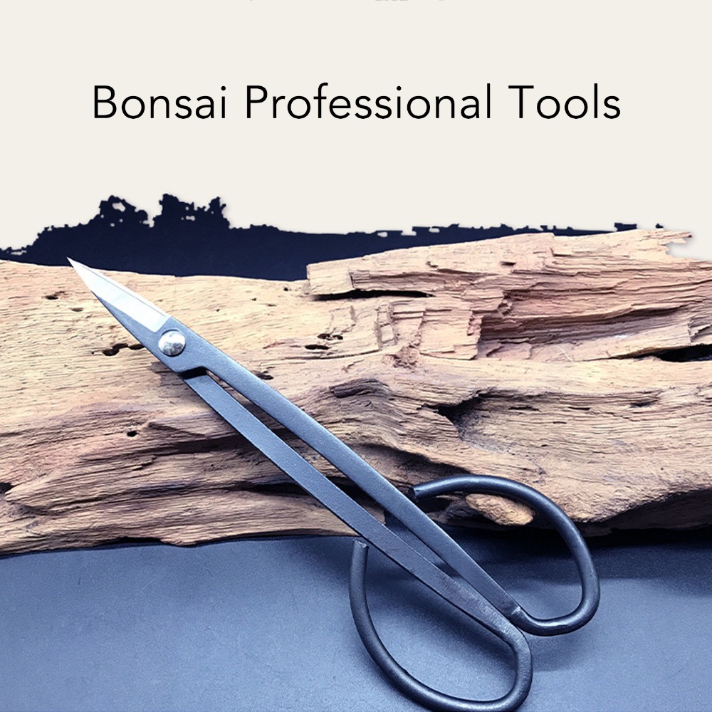 Ciseaux à bonsaï en acier inox - Concave Branch Cutter avis et prix
