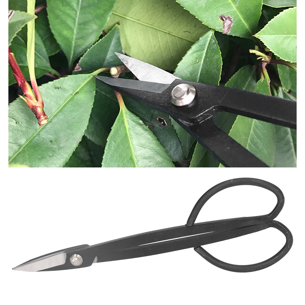 Ciseaux à bonsaï en acier inox - Concave Branch Cutter avis et prix
