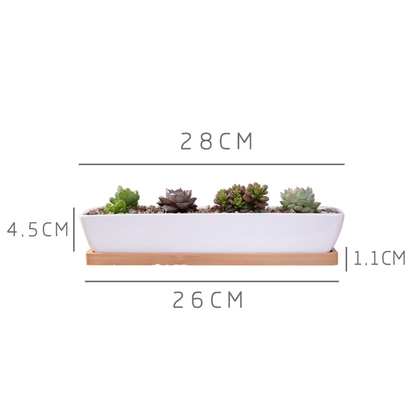 Pot de jardinière succulente e - Bonsai Tree Zen Garden avis et prix