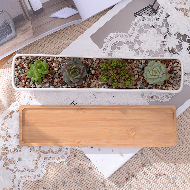Pot de jardinière succulente e - Bonsai Tree Zen Garden avis et prix
