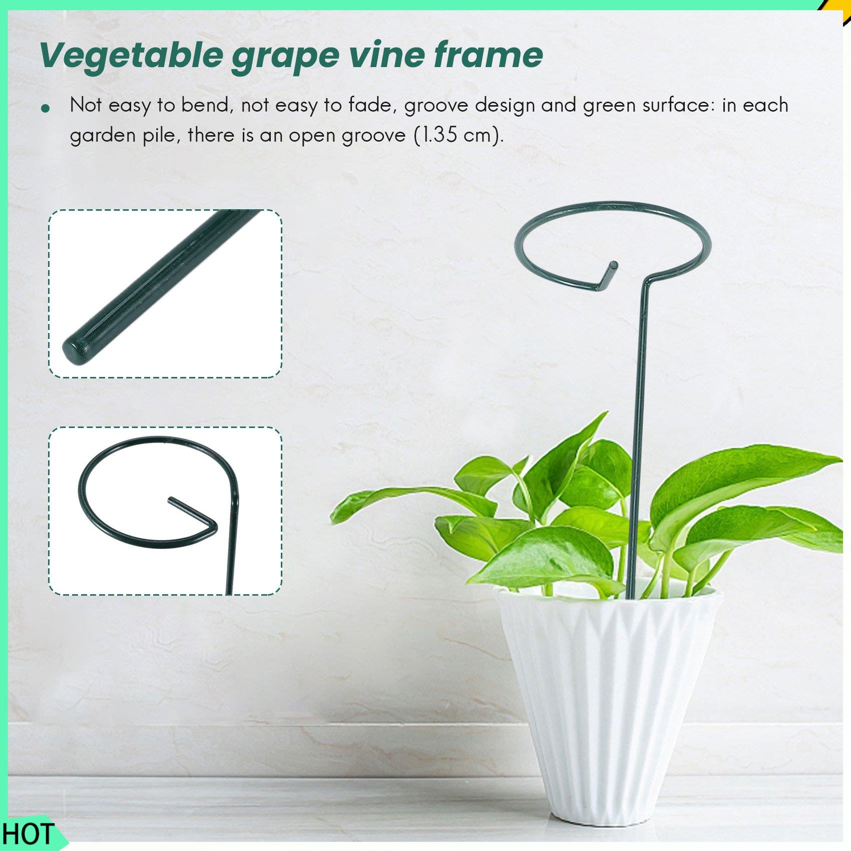 AWAH 8 pièces belle plante Sup - Bonsai Garden Backyard avis et prix