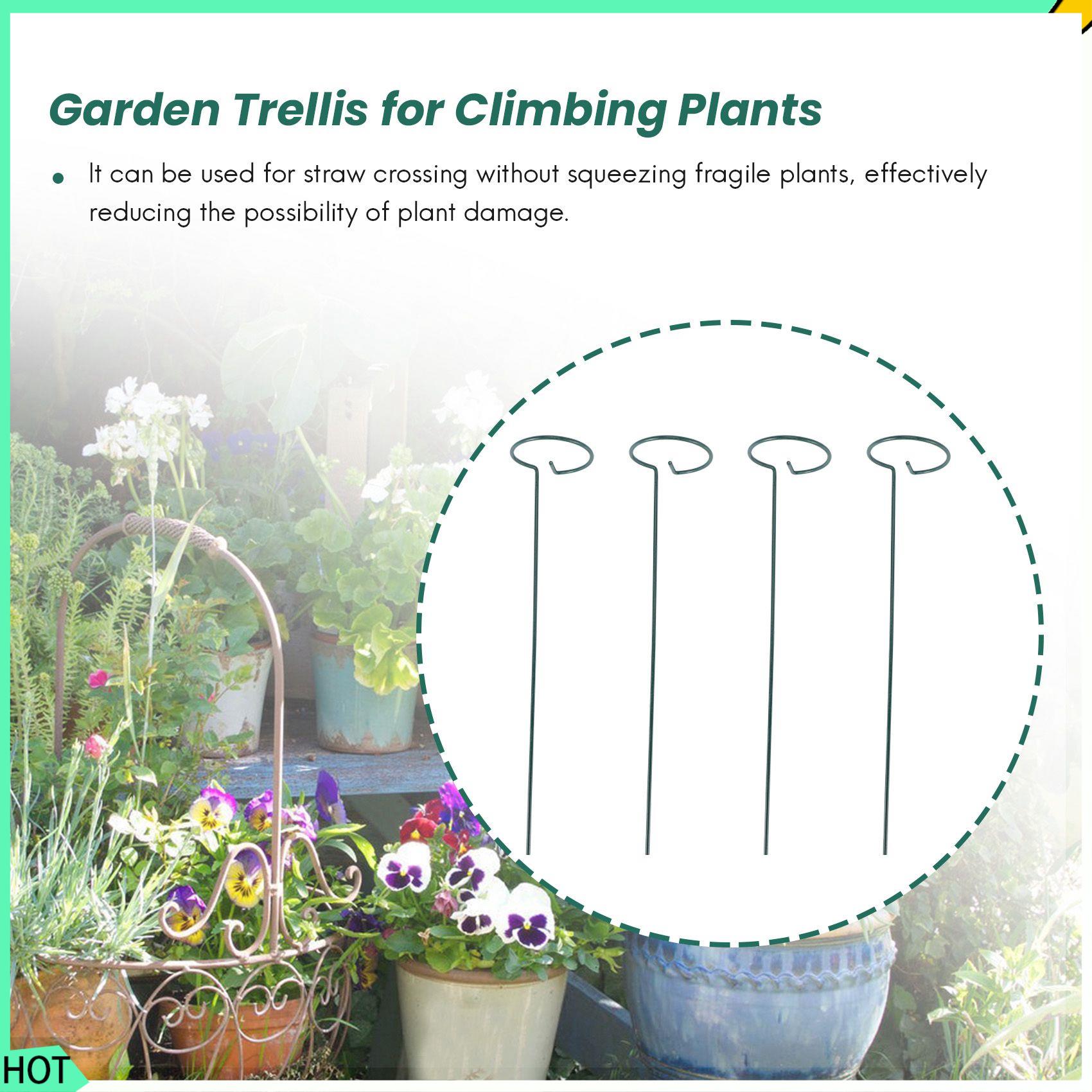 AWAH 8 pièces belle plante Sup - Bonsai Garden Backyard avis et prix