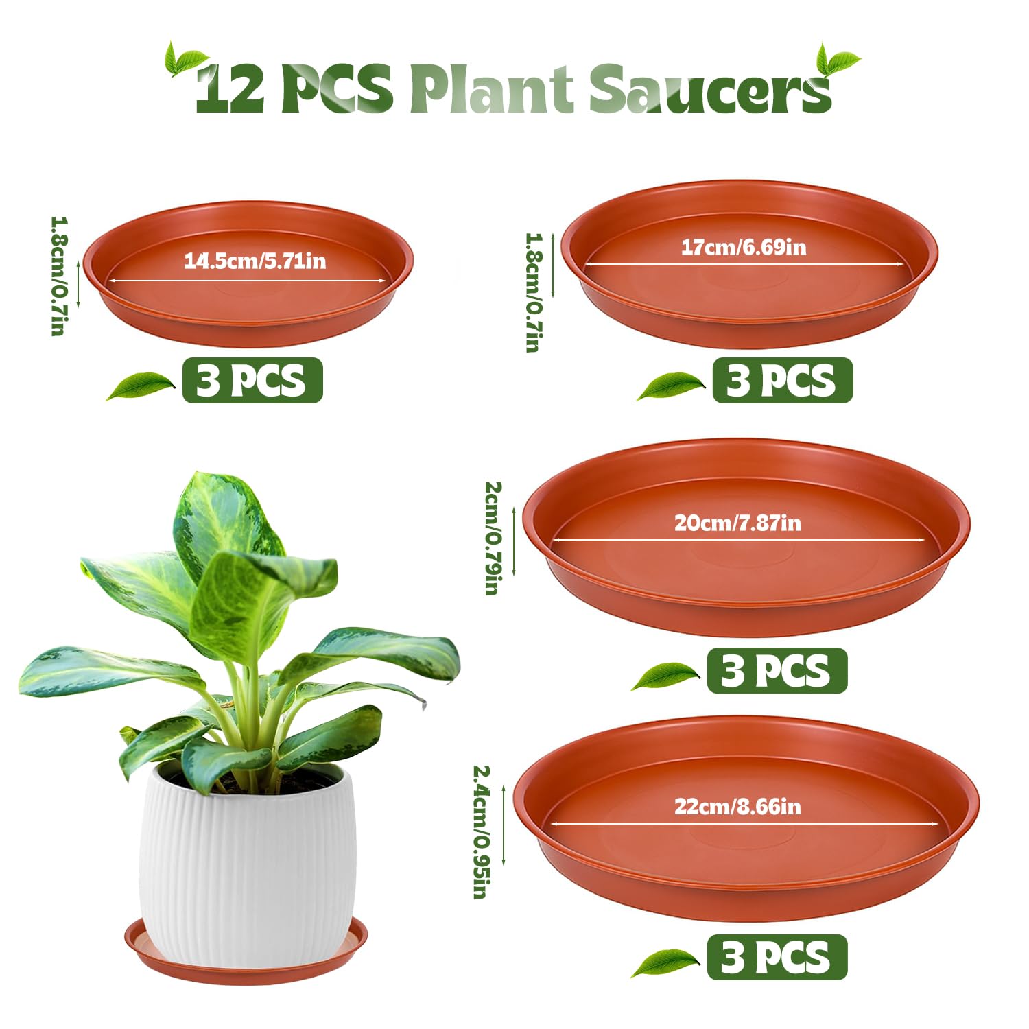 Paquet de 12 soucoupes pour po - Drip Tray Saucer avis et prix