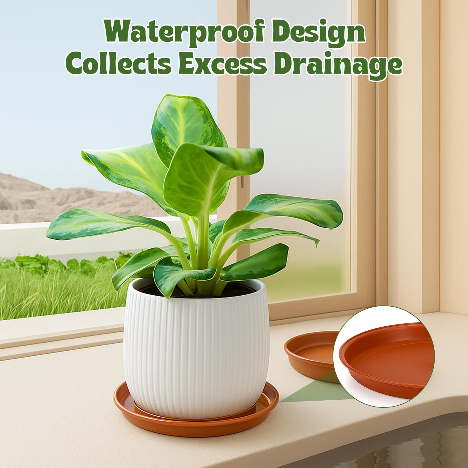 Paquet de 12 soucoupes pour po - Drip Tray Saucer avis et prix