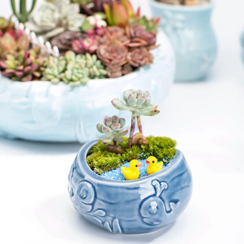 Pot de fleurs charnu mignon de - Bonsai Tree Zen Garden avis et prix