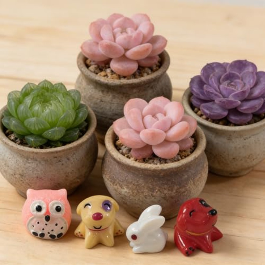 Kits d'ornements miniatures d' - Japan Bonsai Garden avis et prix