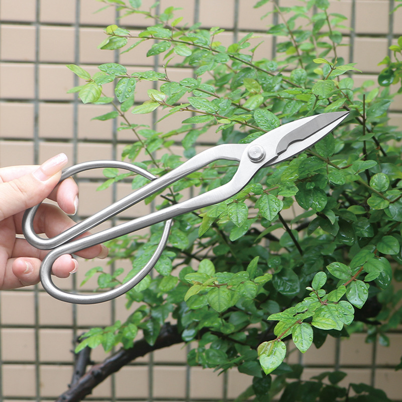 Ciseaux de jardin tout en acie - Concave Branch Cutter avis et prix