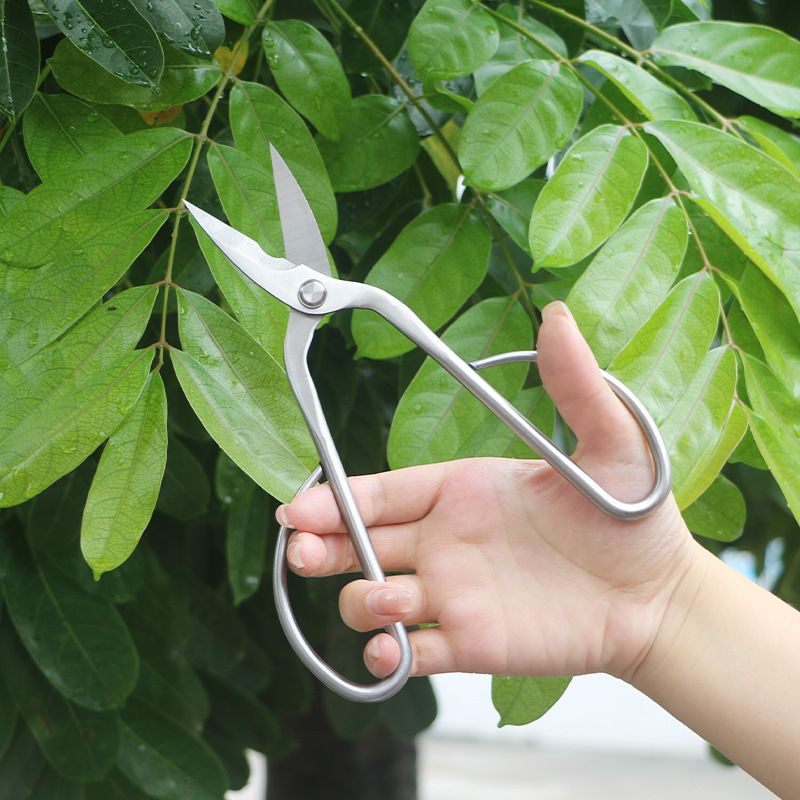 Ciseaux de jardin tout en acie - Concave Branch Cutter avis et prix
