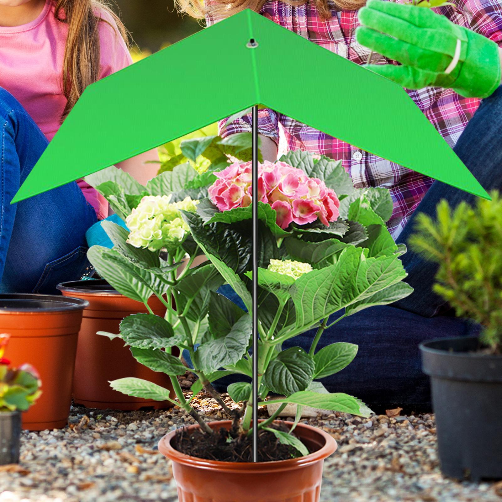 Parasol pour plantes anti-UV,  - Bonsai Garden And Cafe avis et prix