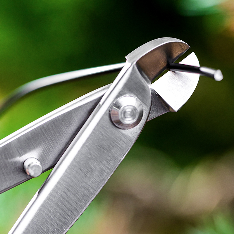 Ensemble d'outils professionne - Concave Branch Cutter avis et prix
