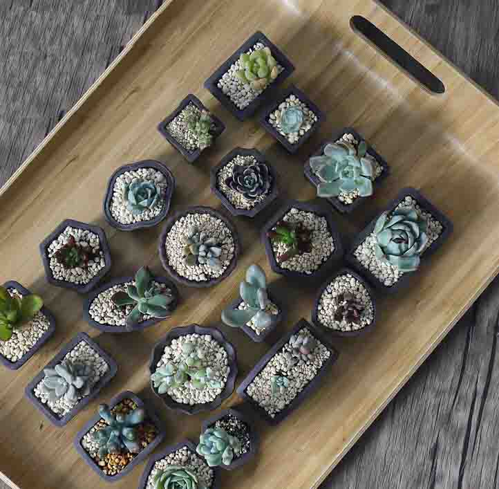 Yixing violet sable Pot de fle - Bonsai Tree Zen Garden avis et prix
