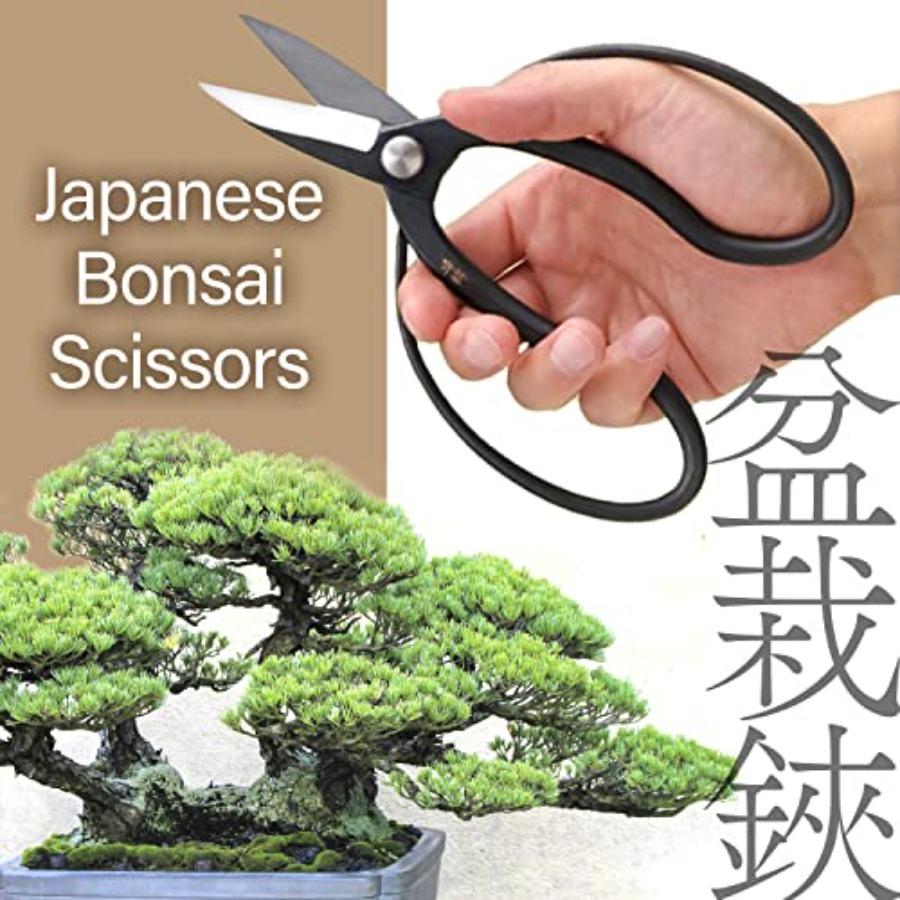 Ciseaux à bonsaï japonais Suir - Japan Bonsai Garden avis et prix