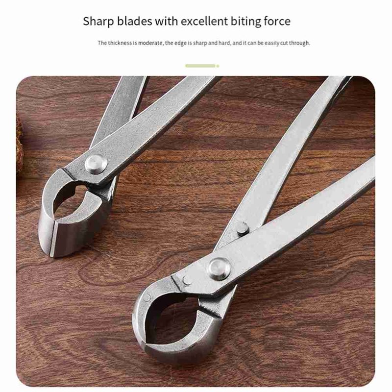 Ensemble d'outils pour arbres  - Concave Branch Cutter avis et prix