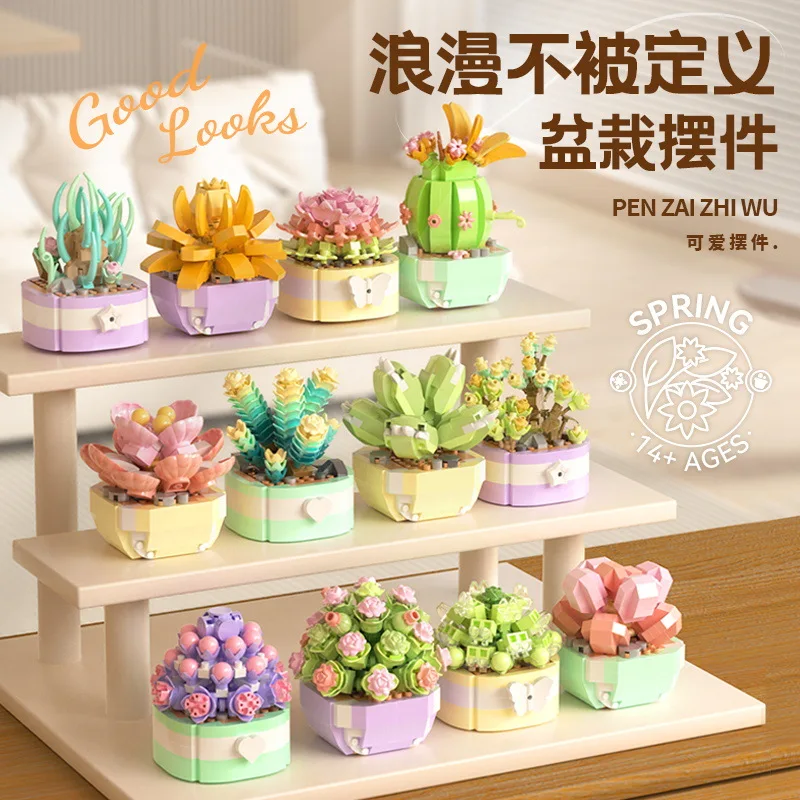 Décennie s de construction de  - Bonsai Garden Pot avis et prix