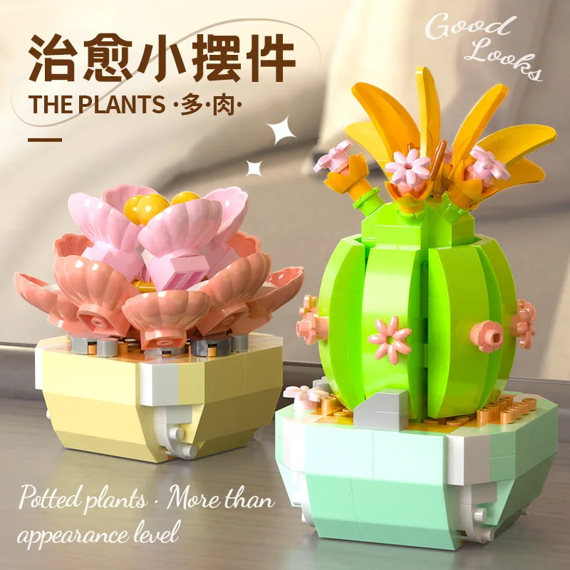 Décennie s de construction de  - Bonsai Garden Pot avis et prix
