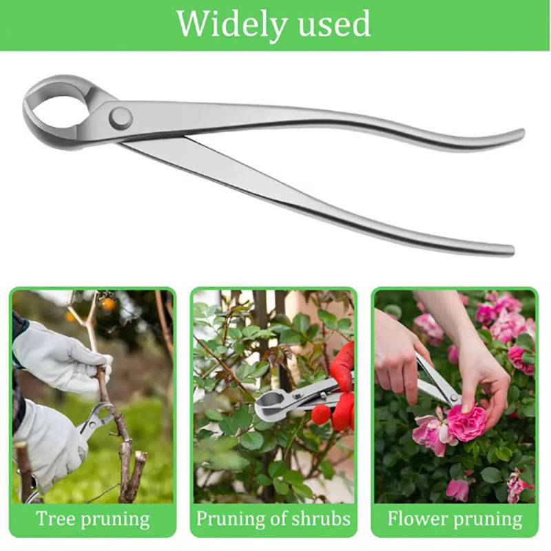 Kit d'outils pour bonsaï en ac - Concave Branch Cutter avis et prix