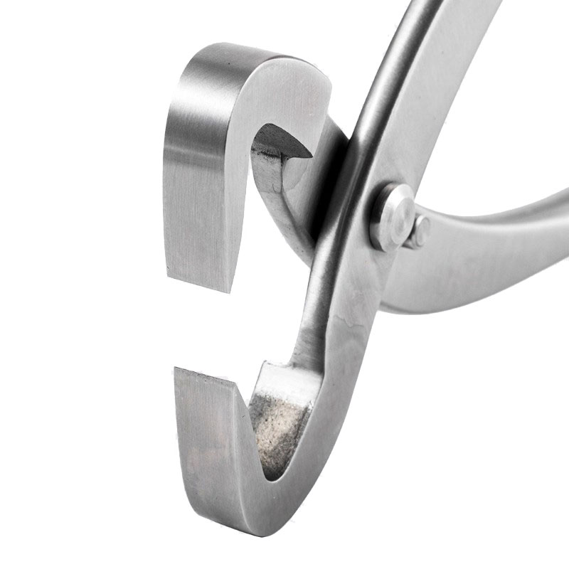 Kit d'outils pour bonsaï en ac - Concave Branch Cutter avis et prix