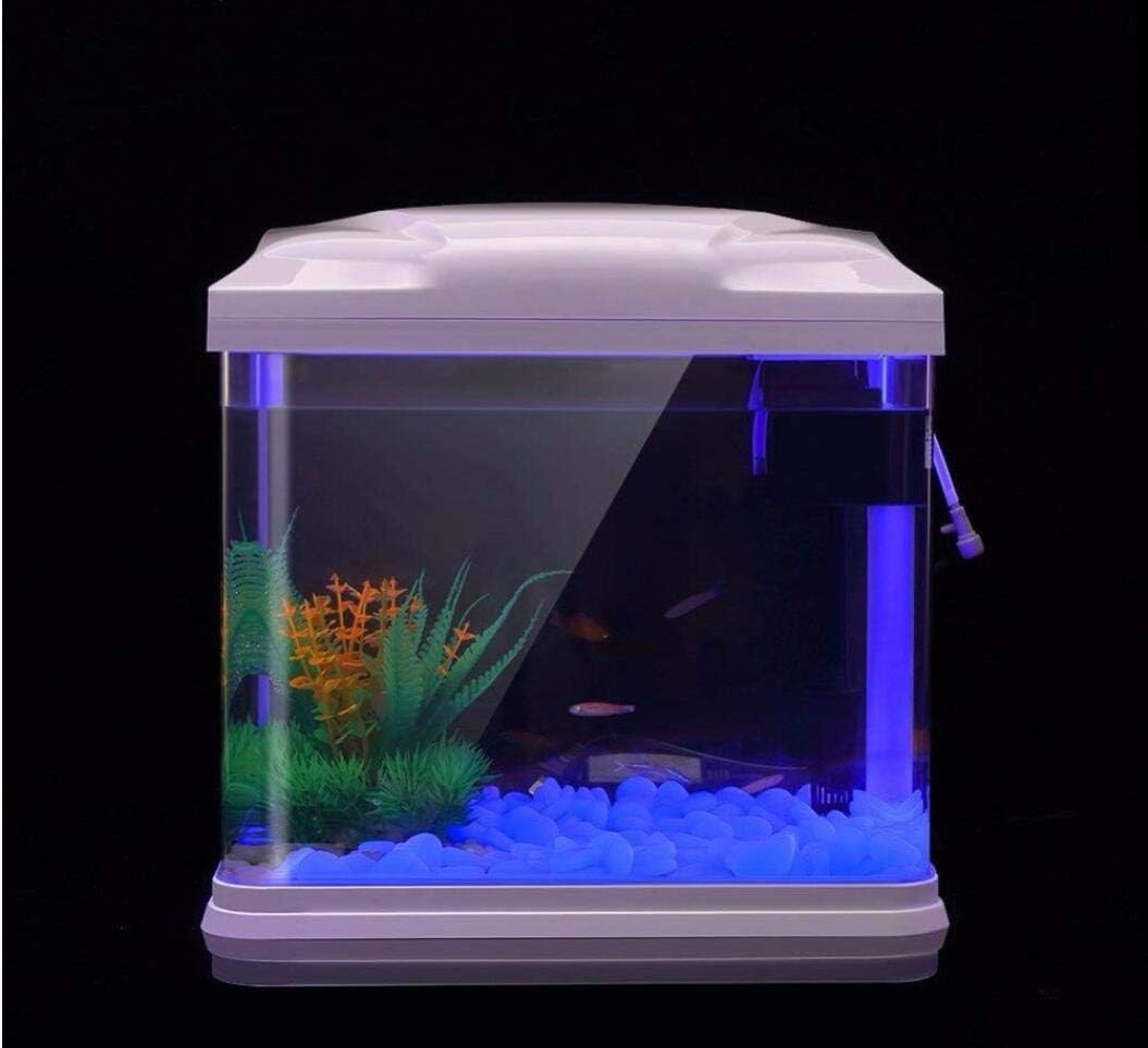 Roches d'aquarium scintillante - Bonsai Garden Pot avis et prix