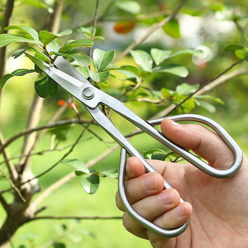 Ciseaux à feuilles tendre, out - Concave Branch Cutter avis et prix