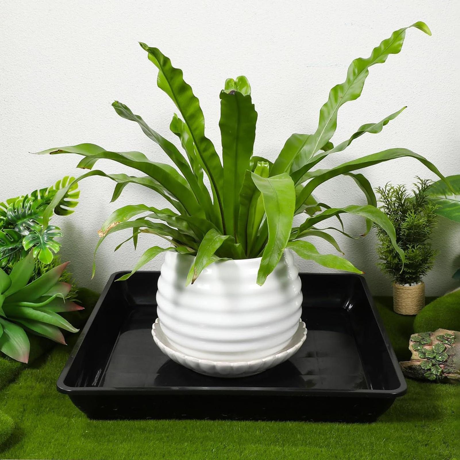 Base de Pot de fleur épaisse,  - Drip Tray Saucer avis et prix