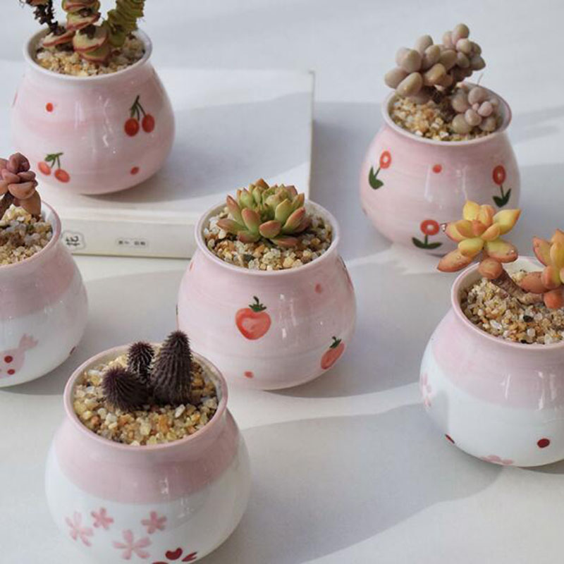 Pot de plantes charnues en for - Bonsai Garden Europe avis et prix