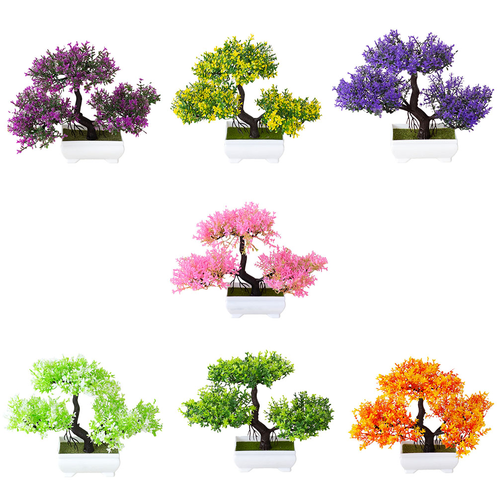 Plantes artificielles décorati - Bonsai Tree Zen Garden avis et prix