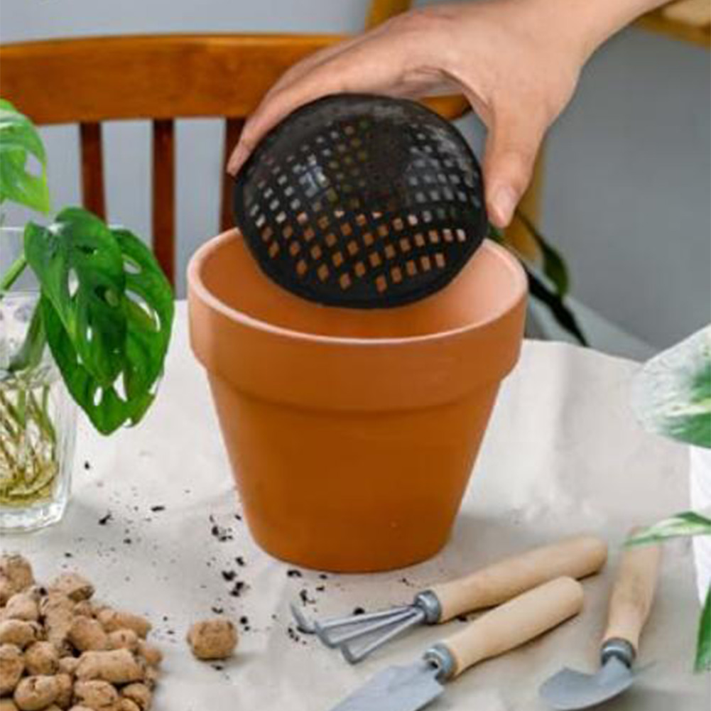 20/30 pièces de tampons en mai - Bonsai Garden Pot avis et prix
