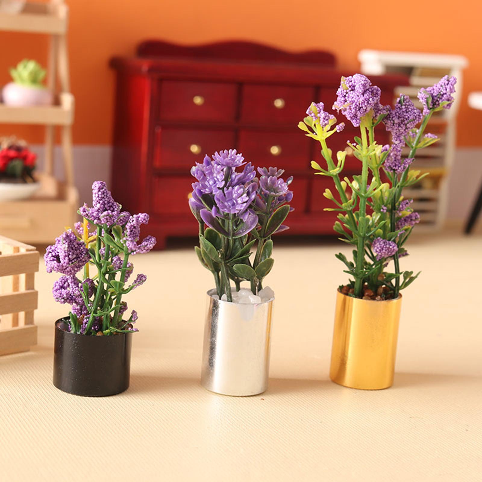 Ornement de plante miniature e - Bonsai Garden Europe avis et prix