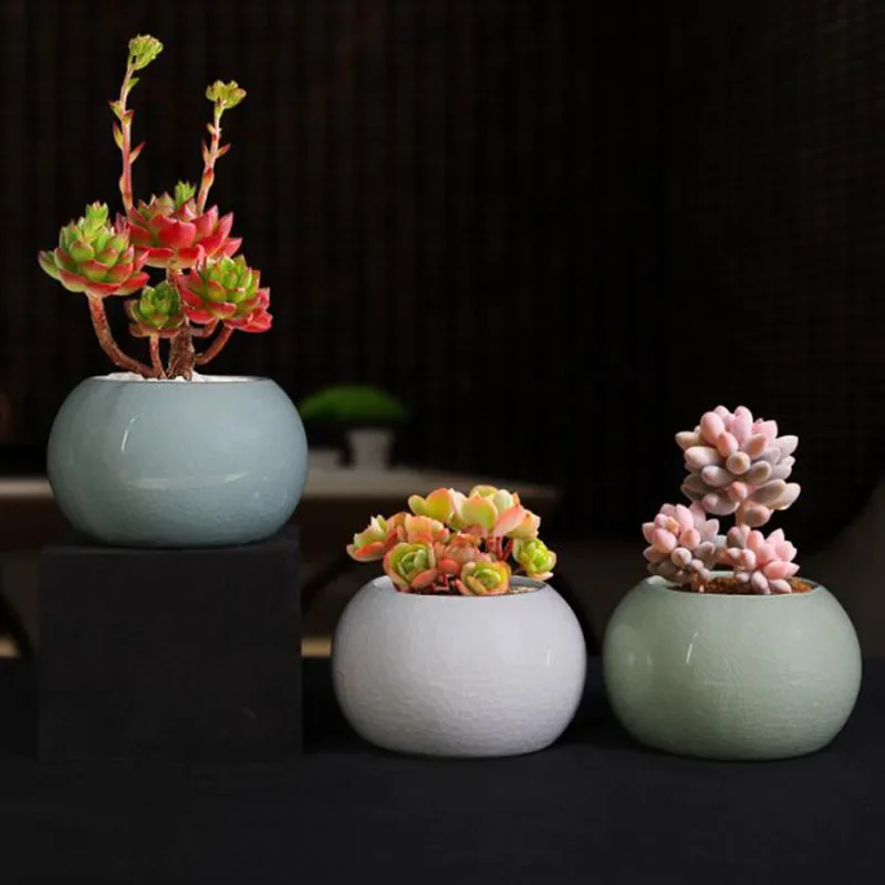 Pot de fleurs en céramique sty - Bonsai Garden Europe avis et prix