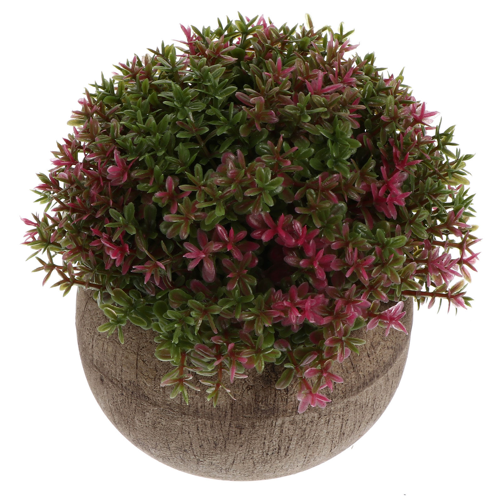 Mini Bonsaï en Plastique Réali - Bonsai Garden And Cafe avis et prix