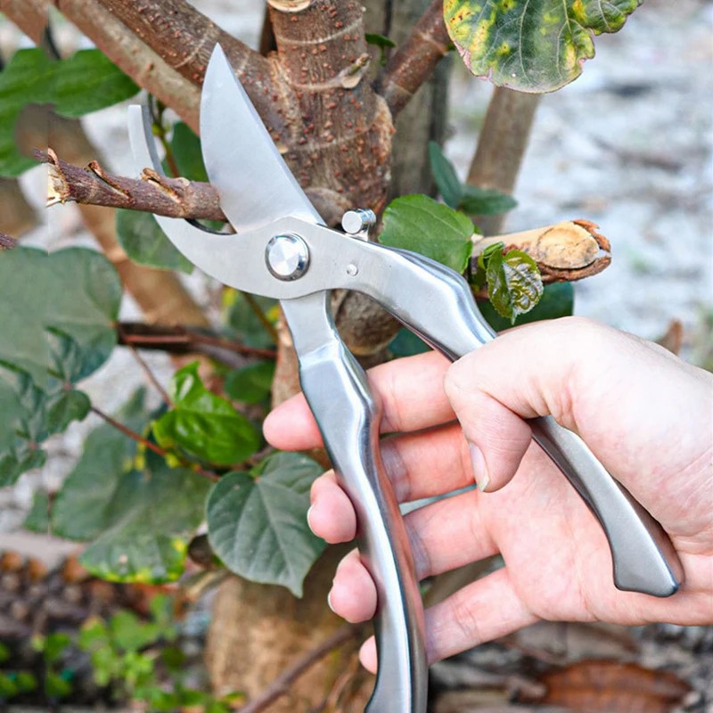 Sécatrices de jardinage profes - Concave Branch Cutter avis et prix