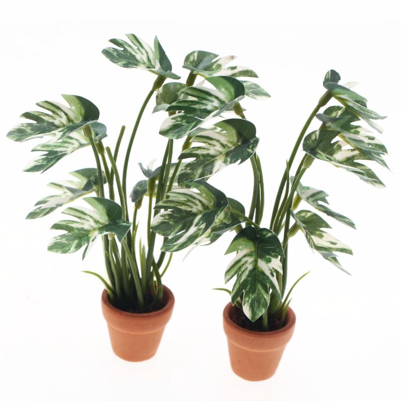Nouveau. 1 pièce. Plante verte - Bonsai Garden Pot avis et prix